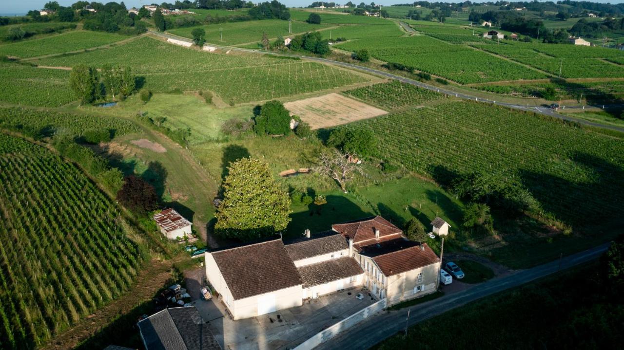 Chambre D'Hote Pres Bordeaux Au Chateau Camponac Bourg-sur-Gironde Kültér fotó